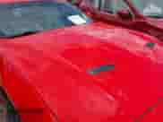 2023 Ford Mustang EcoBoost with VIN 1FA6P8TH0P5101791, listed as a IAAI auction lot 42888045 with 17,479 mi miles and . Bid and sale history available at DreamBid. Image 6.