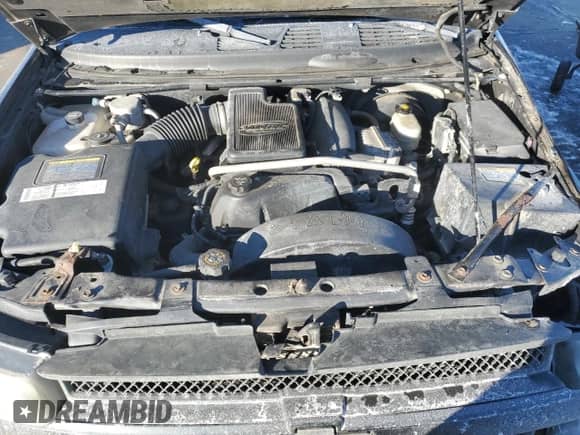 2004 Chevrolet TrailBlazer EXT LT with VIN 1GNET16S446233515, listed as a Copart auction lot 42809085 with Not provided miles and Salvage title. Bid and sale history available at DreamBid. Image 12.