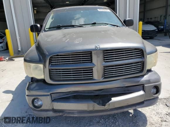 2002 Dodge 1500 with VIN 1D7HA18Z92J130337, listed as a Copart auction lot 69320295 with 143,494 mi miles and Salvage title. Bid and sale history available at DreamBid. Image 5.