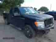 2010 Ford F-150 XL with VIN 1FTEX1C80AKE49905, listed as a IAAI auction lot 43115523 with 203,656 mi miles and . Bid and sale history available at DreamBid. Image 1.