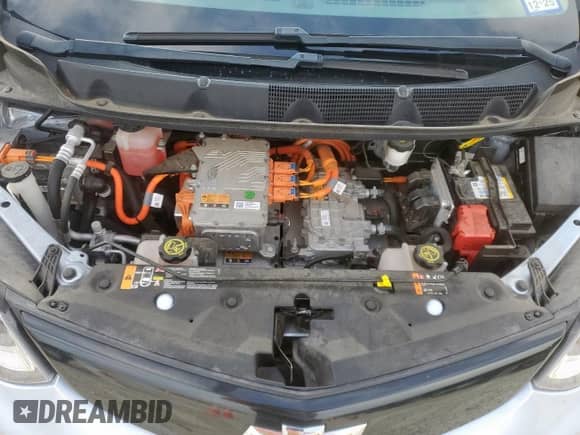 2018 Chevrolet Bolt EV LT z VIN 1G1FW6S06J4118923, wystawiony jako Copart lot #62120275 z przebiegiem 86 132 mil mil oraz Czysty tytuł • Clean title. Historia ofert i sprzedaży dostępna na DreamBid. Obrazek 11.