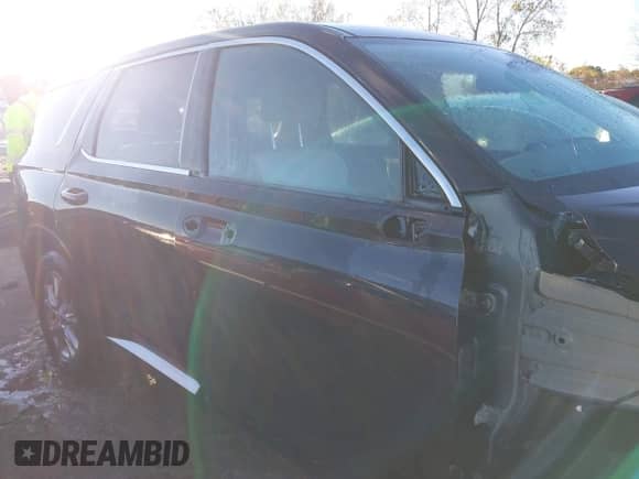 2020 Hyundai Palisade SE с VIN KM8R1DHE4LU145918, выставлен на аукционе IAAI как лот 43446096 с пробегом 131 435 миль миль и . История ставок и продаж доступна на DreamBid. Изображение 14.