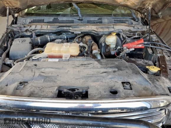 2015 Ram 1500 Big Horn с VIN 1C6RR6LM5FS505731, выставлен на аукционе Copart как лот 70558435 с пробегом Не указан миль и Списание • Salvage title. История ставок и продаж доступна на DreamBid. Изображение 11.