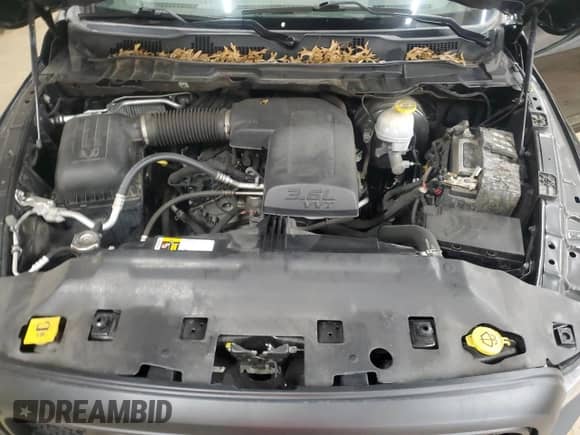 2019 Ram 1500 SLT with VIN 1C6RR7LG7KS671534, listed as a Copart auction lot 53096865 with 46,496 mi miles and Salvage title. Bid and sale history available at DreamBid. Image 11.