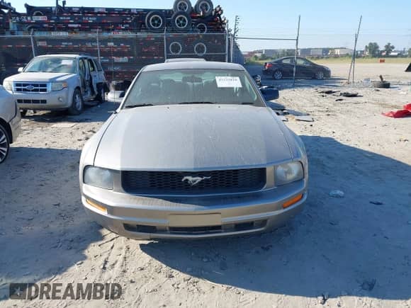 2008 Ford Mustang Deluxe with VIN 1ZVHT80N385127292, listed as a IAAI auction lot 43233810 with 216,162 mi miles and . Bid and sale history available at DreamBid. Image 13.