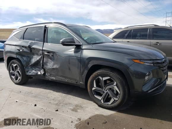 2024 Hyundai Tucson Limited with VIN KM8JFDD24RU245309, listed as a Copart auction lot 49009035 with 6,219 mi miles and Salvage title. Bid and sale history available at DreamBid. Image 4.