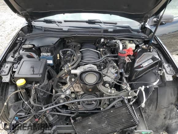 2014 Chevrolet SS z VIN 6G3F15RW3EL958456, wystawiony jako Copart lot #71248844 z przebiegiem 64 408 mil mil oraz Szkoda całkowita • Salvage title. Historia ofert i sprzedaży dostępna na DreamBid. Obrazek 11.