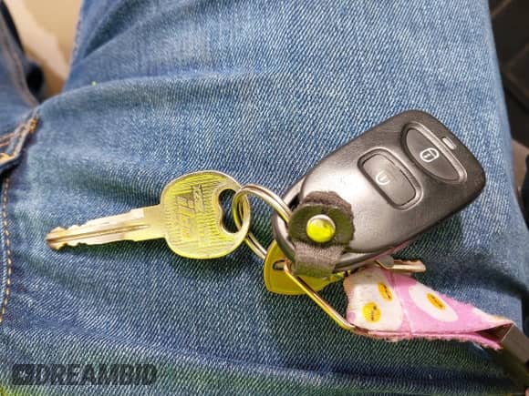 2009 Hyundai Santa Fe GLS с VIN 5NMSG13D69H242720, выставлен на аукционе IAAI как лот 43381340 с пробегом 233 580 миль миль и . История ставок и продаж доступна на DreamBid. Изображение 11.