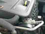 2013 Dodge Journey American Value z VIN 3C4PDCAB2DT576623, wystawiony jako IAAI lot #43018876 z przebiegiem 119 698 mil mil oraz . Historia ofert i sprzedaży dostępna na DreamBid. Obrazek 12.