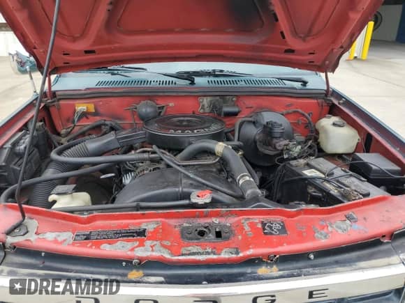 1993 Dodge Dakota z VIN 1B7FL23X3PS153914, wystawiony jako Copart lot #67756425 z przebiegiem 277 083 mil mil oraz Szkoda całkowita • Salvage title. Historia ofert i sprzedaży dostępna na DreamBid. Obrazek 11.