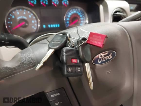 2009 Ford F-150 XL with VIN 1FTRF14W29KC92939, listed as a IAAI auction lot 41391864 with 130,866 mi miles and . Bid and sale history available at DreamBid. Image 11.