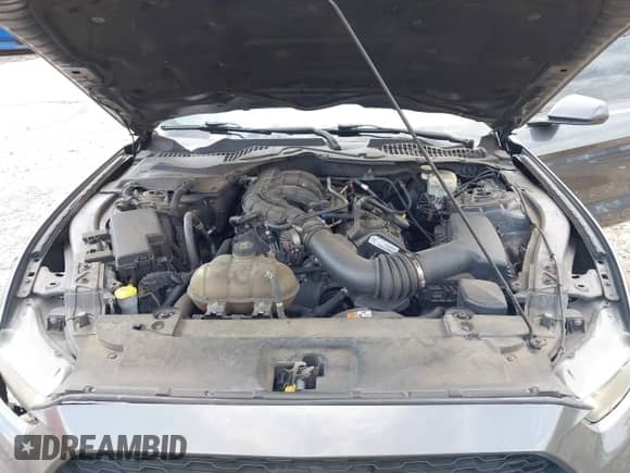 2015 Ford Mustang V6 with VIN 1FA6P8AM8F5395603, listed as a IAAI auction lot 43297736 with 127,921 mi miles and . Bid and sale history available at DreamBid. Image 10.