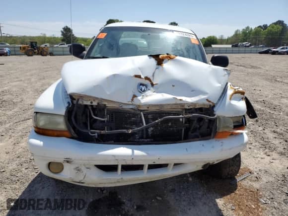 2002 Dodge Dakota SLT with VIN 1B7HG48N12S551650, listed as a Copart auction lot 49324025 with 183,653 mi miles and Salvage title. Bid and sale history available at DreamBid. Image 5.