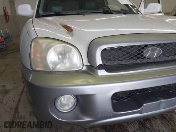 2004 Hyundai Santa Fe GLS with VIN KM8SC13E44U797943, listed as a IAAI auction lot 41731356 with 184,139 mi miles and . Bid and sale history available at DreamBid. Image 6.