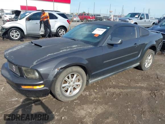 2008 Ford Mustang Deluxe with VIN 1ZVHT80N485201156, listed as a IAAI auction lot 43082202 with 194,598 mi miles and . Bid and sale history available at DreamBid. Image 17.