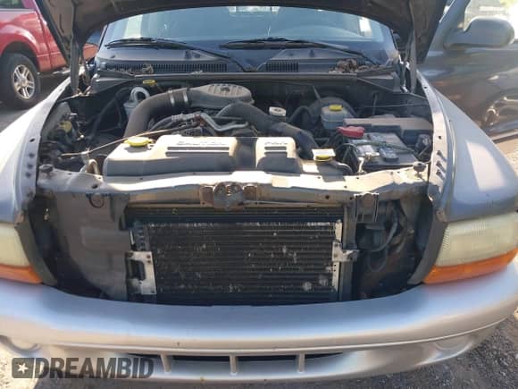 2002 Dodge Dakota с VIN 1B7HG48XX2S546383, выставлен на аукционе IAAI как лот 42860090 с пробегом 179 094 миль миль и . История ставок и продаж доступна на DreamBid. Изображение 10.