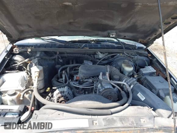 2002 Chevrolet S-10 LS с VIN 1GCDT13W02K188895, выставлен на аукционе IAAI как лот 42528755 с пробегом 114 904 миль миль и . История ставок и продаж доступна на DreamBid. Изображение 10.