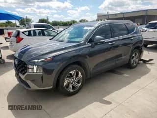 2023 Hyundai Santa Fe SEL с VIN 5NMS24AJ3PH587788, выставлен на аукционе Copart как лот 81661765 с пробегом 47 854 миль миль и Списание • Salvage title. История ставок и продаж доступна на DreamBid. Изображение 1.