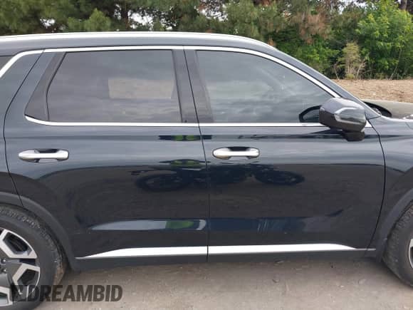 2023 Hyundai Palisade SEL with VIN KM8R4DGEXPU589934, listed as a IAAI auction lot 42337578 with 34,548 mi miles and . Bid and sale history available at DreamBid. Image 14.