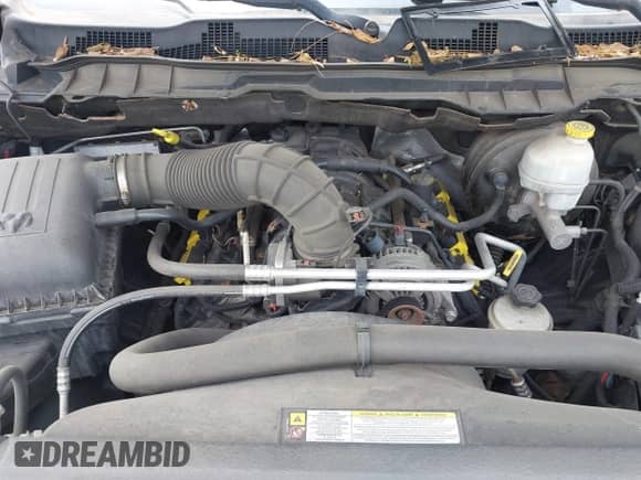 2011 Ram 1500 Big Horn with VIN 1D7RV1CT7BS582972, listed as a IAAI auction lot 42489818 with 176,420 mi miles and . Bid and sale history available at DreamBid. Image 10.