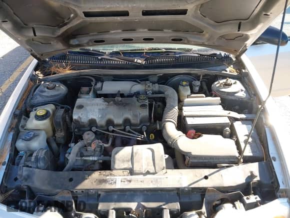 2002 Saturn SL z VIN 1G8ZG52812Z198597, wystawiony jako IAAI lot #43556259 z przebiegiem 140 782 mil mil oraz . Historia ofert i sprzedaży dostępna na DreamBid. Obrazek 10.