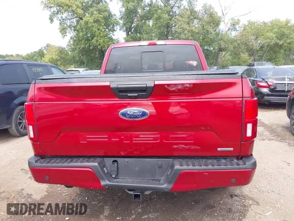 2019 Ford F-150 XL with VIN 1FTEX1EPXKKD02917, listed as a IAAI auction lot 43147307 with 20,628 mi miles and . Bid and sale history available at DreamBid. Image 17.