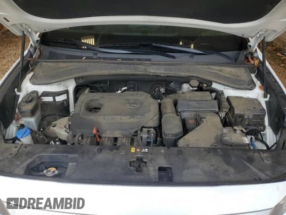 2020 Hyundai Santa Fe SEL with VIN 5NMS33AD3LH152071, listed as a Copart auction lot 81766965 with 106,737 mi miles and Salvage title. Bid and sale history available at DreamBid. Image 12.