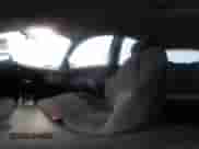 2003 Chevrolet Cavalier LS с VIN 1G1JF52F437235264, выставлен на аукционе IAAI как лот 42414001 с пробегом 125 885 миль миль и . История ставок и продаж доступна на DreamBid. Изображение 18.