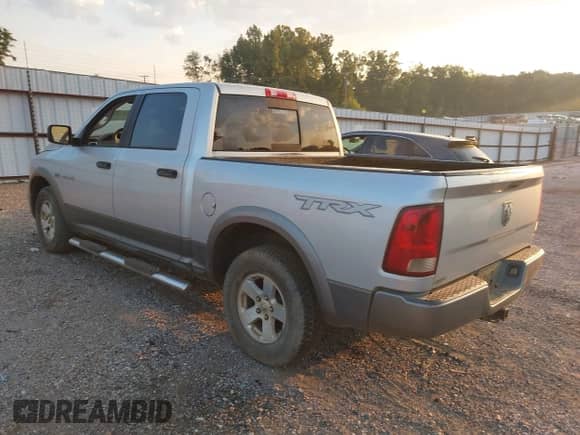 2010 Dodge 1500 SLT with VIN 1D7RB1CT1AS185121, listed as a IAAI auction lot 43341254 with 253,948 mi miles and . Bid and sale history available at DreamBid. Image 3.