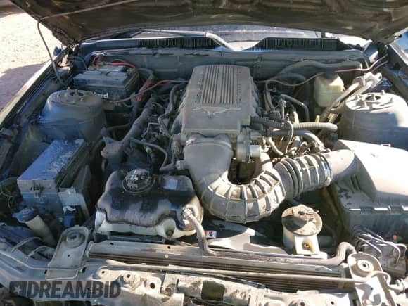 2007 Ford Mustang GT Deluxe with VIN 1ZVFT82HX75217178, listed as a IAAI auction lot 43474767 with 302,624 mi miles and . Bid and sale history available at DreamBid. Image 10.