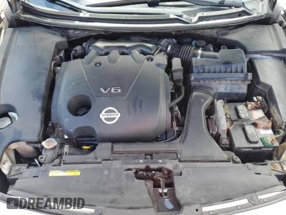 2013 Nissan Maxima SV with VIN 1N4AA5AP8DC811825, listed as a Copart auction lot 85740615 with 192,413 mi miles and Salvage title. Bid and sale history available at DreamBid. Image 11.