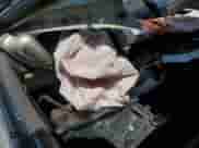 1994 Honda Accord LX z VIN 1HGCD5636RA134388, wystawiony jako Copart lot #65996815 z przebiegiem Nie podano mil oraz Czysty tytuł • Clean title. Historia ofert i sprzedaży dostępna na DreamBid. Obrazek 8.