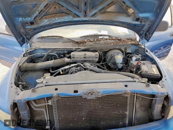 1999 Dodge 1500 с VIN 3B7HC13Y3XG181523, выставлен на аукционе Copart как лот 85099255 с пробегом Не указан миль и Чистый • Clean title. История ставок и продаж доступна на DreamBid. Изображение 11.