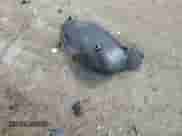 2022 Hyundai Tucson Limited with VIN 5NMJE3AE6NH158156, listed as a Copart auction lot 85897494 with 13,694 mi miles and Salvage title. Bid and sale history available at DreamBid. Image 15.