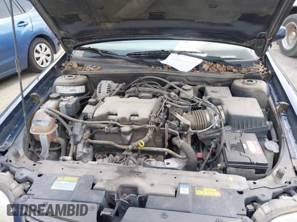 2001 Chevrolet Malibu LS с VIN 1G1NE52J216118066, выставлен на аукционе IAAI как лот 42410425 с пробегом 133 306 миль миль и . История ставок и продаж доступна на DreamBid. Изображение 10.