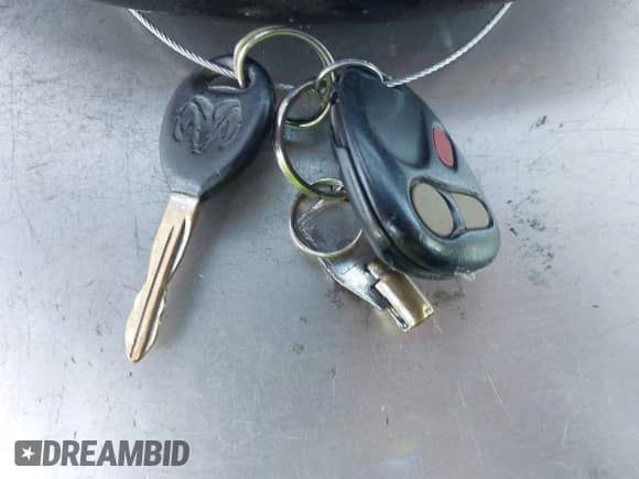 2004 Dodge 1500 ST z VIN 1D7HA18K04J284327, wystawiony jako IAAI lot #42263248 z przebiegiem 194 944 mil mil oraz . Historia ofert i sprzedaży dostępna na DreamBid. Obrazek 11.