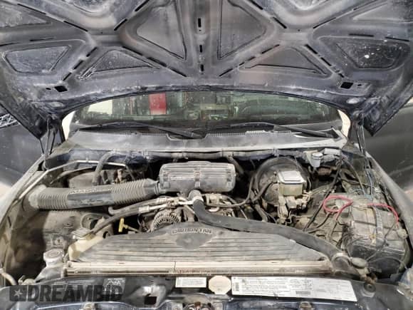 1996 Dodge 1500 with VIN 1B7HC16Y2TS563282, listed as a Copart auction lot 69283145 with 190,945 mi miles and Salvage title. Bid and sale history available at DreamBid. Image 11.