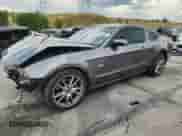 2014 Ford Mustang GT with VIN 1ZVBP8CF0E5299323, listed as a Copart auction lot 69133585 with 56,162 mi miles and Salvage title. Bid and sale history available at DreamBid. Image 1.