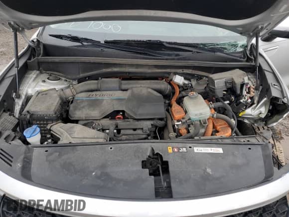 2022 Kia Sorento SX with VIN KNDRJDLH7N5118702, listed as a Copart auction lot 48208835 with 55,348 mi miles and Salvage title. Bid and sale history available at DreamBid. Image 13.