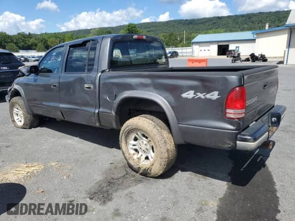 2002 Dodge Dakota Sport with VIN 1B7GG32N12S546334, listed as a Copart auction lot 70287395 with 175,351 mi miles and Salvage title. Bid and sale history available at DreamBid. Image 2.