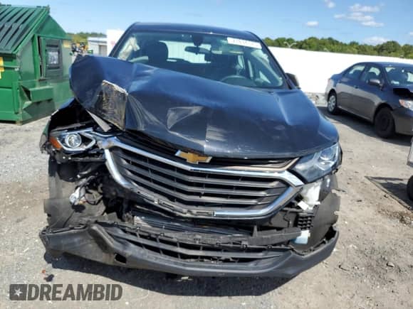 2019 Chevrolet Equinox LS z VIN 2GNAXSEV3K6231671, wystawiony jako Copart lot #71834175 z przebiegiem 133 301 mil mil oraz Szkoda całkowita • Salvage title. Historia ofert i sprzedaży dostępna na DreamBid. Obrazek 5.
