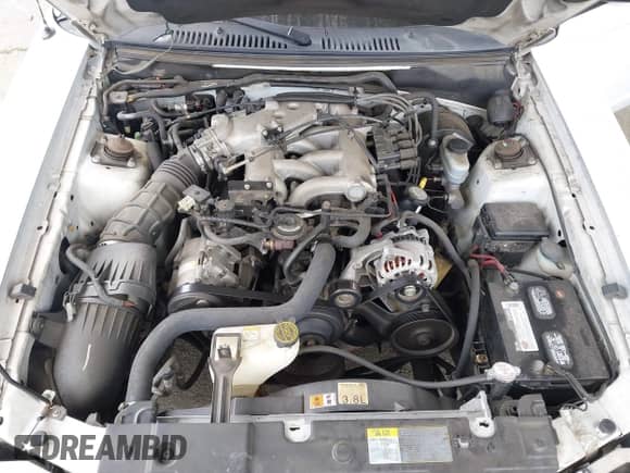 2001 Ford Mustang Standard with VIN 1FAFP40411F111810, listed as a IAAI auction lot 42191705 with 180,413 mi miles and . Bid and sale history available at DreamBid. Image 10.