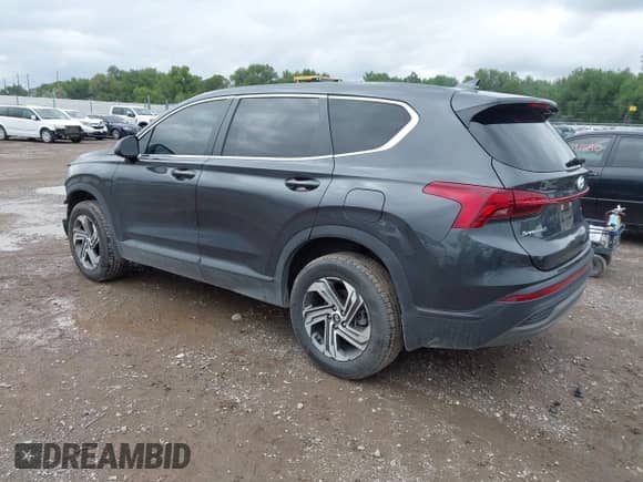 2021 Hyundai Santa Fe SE с VIN 5NMS1DAJ0MH355499, выставлен на аукционе IAAI как лот 42748090 с пробегом 33 409 миль миль и . История ставок и продаж доступна на DreamBid. Изображение 3.