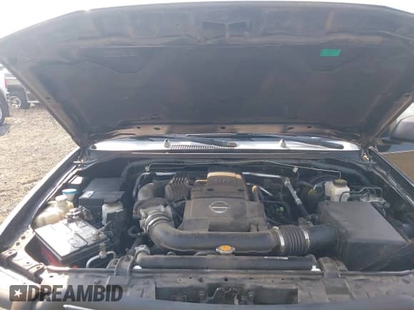 2009 Nissan Frontier SE with VIN 1N6AD09W89C411686, listed as a IAAI auction lot 43144770 with 197,794 mi miles and . Bid and sale history available at DreamBid. Image 10.