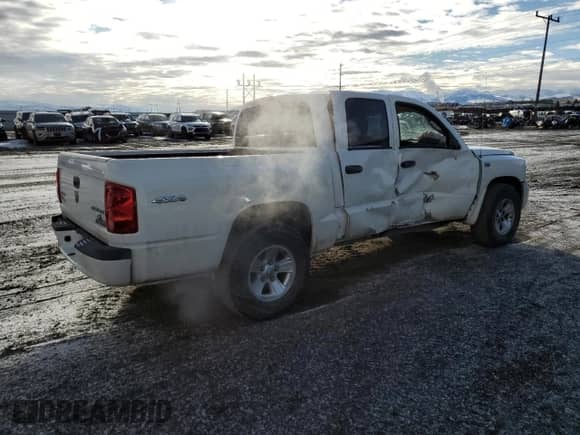 2009 Dodge Dakota with VIN 1D3HW38P39S783540, listed as a Copart auction lot 46859495 with 109,355 mi miles and Clean title. Bid and sale history available at DreamBid. Image 3.