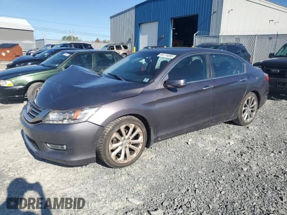 2013 Honda Accord EX-L with VIN 1HGCR2F93DA809188, listed as a Copart auction lot 84174095 with 219,277 mi miles and Salvage title. Bid and sale history available at DreamBid. Image 1.