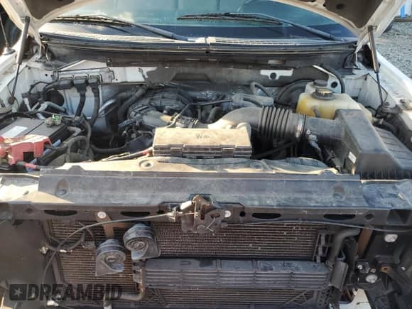 2013 Ford F-150 XL z VIN 1FTMF1CM0DKF69008, wystawiony jako Copart lot #83800745 z przebiegiem 192 926 mil mil oraz Szkoda całkowita • Salvage title. Historia ofert i sprzedaży dostępna na DreamBid. Obrazek 11.