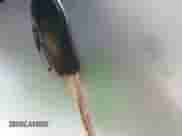 2001 BMW 5 Series 540i с VIN WBADN53411GC98503, выставлен на аукционе IAAI как лот 42210511 с пробегом 86 895 миль миль и . История ставок и продаж доступна на DreamBid. Изображение 11.