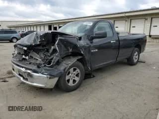 2009 Dodge 1500 SLT with VIN 1D3HB16P49J516352, listed as a Copart auction lot 41582694 with Not provided miles and Non repairable. Bid and sale history available at DreamBid. Image 1.
