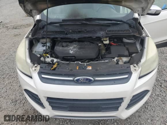 2014 Ford Escape SE with VIN 1FMCU0GX8EUA89462, listed as a Copart auction lot 80214905 with 172,660 mi miles and Salvage title. Bid and sale history available at DreamBid. Image 12.